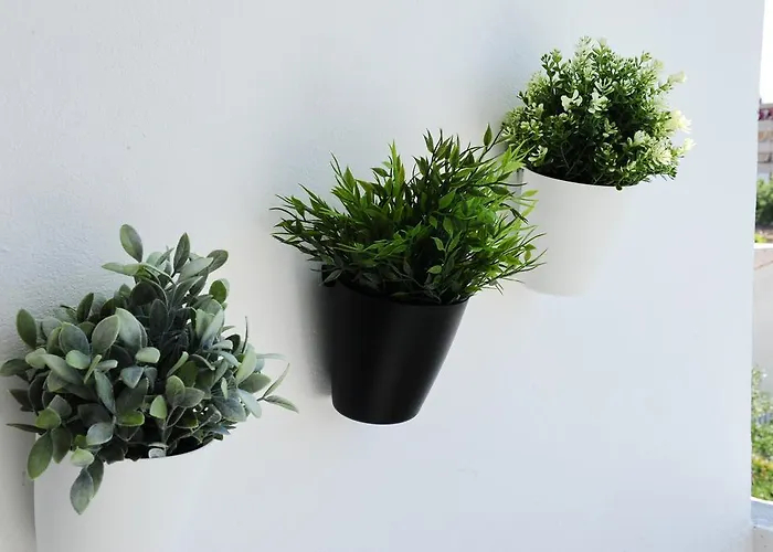 Apartman First Zára